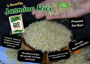 Jasmine Renz Rice Jasmine-Rice – Organic rice, good quality rice from Surin farmers